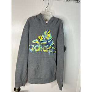 Adidas Youth Graphic Hoodie Sweatshirt Grey ~ Size Youth L (14-16)